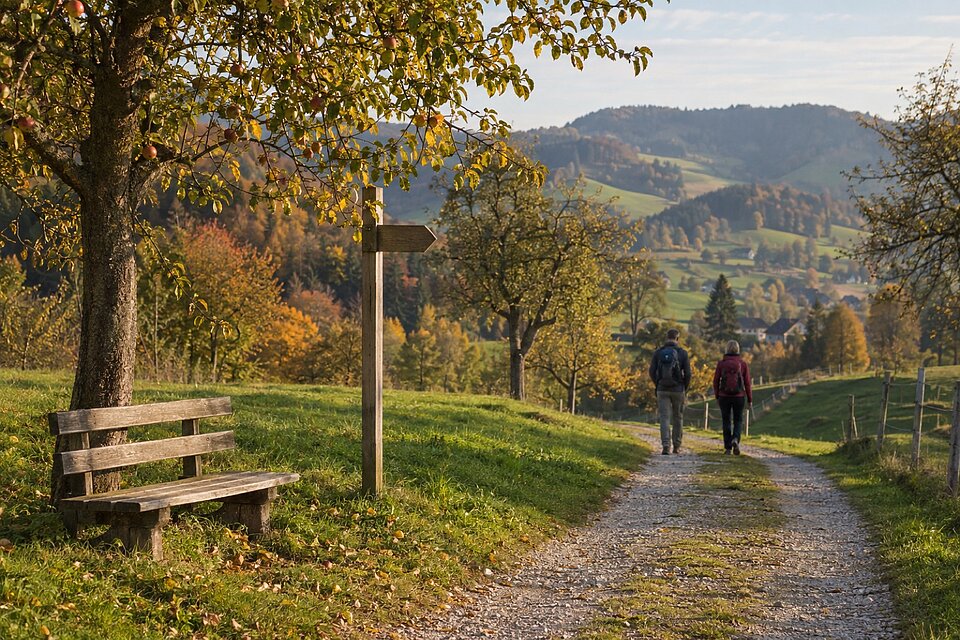 Schotterweg mit Bank und Wegweiser zwischen Obstbäumen